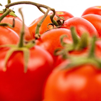 Tomates grappes - fruits et légumes bio