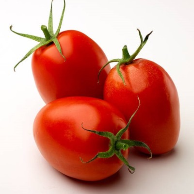 Tomates allongées - fruits et légumes bio