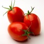 Tomates allongées - fruits et légumes bio
