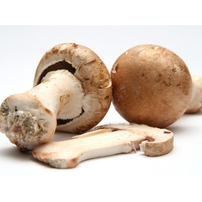 Champignons bio 250g - Légumes bio