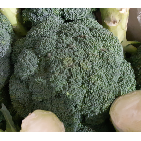 Brocolis Bio, produits bio et naturels