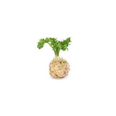 Celeri Rave (~1Kg) légumes bio