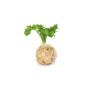 Celeri Rave (~1Kg) légumes bio