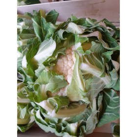 Choux-Fleurs bio, fruits et légumes bio