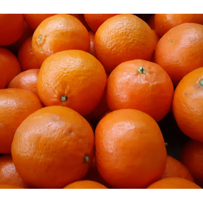 Clémentines esp bio en vrac (~1kg) fruits bio