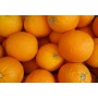 Oranges esp bio (~1kg) Fruits bio