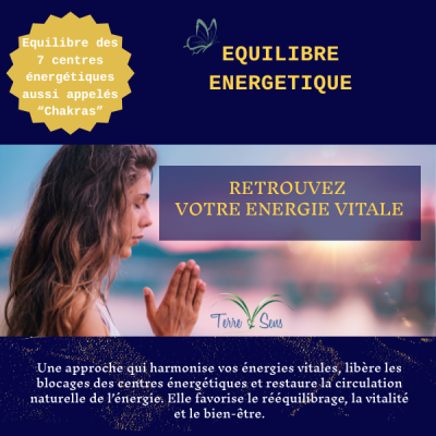 Séance Equilibre Energétique