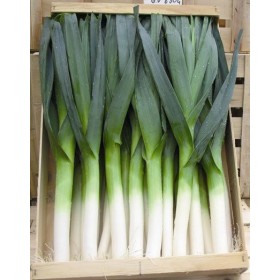 Poireaux bio légumes bio