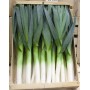 Poireaux bio légumes bio