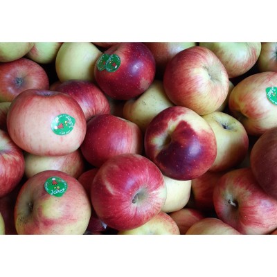 Pommes Juliet bio vrac
