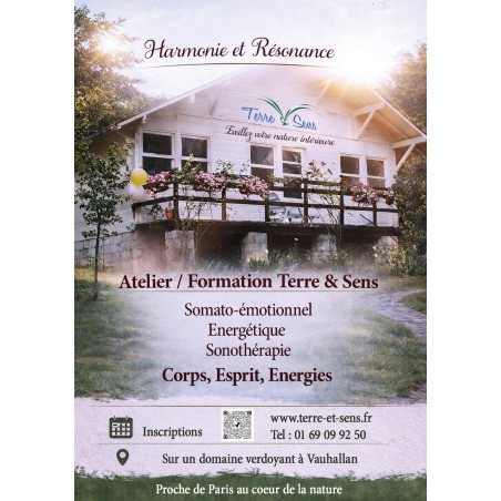 Formation Harmonie et Résonance Niveau 1