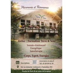 Formation Harmonie et Résonance Niveau 1 à la carte