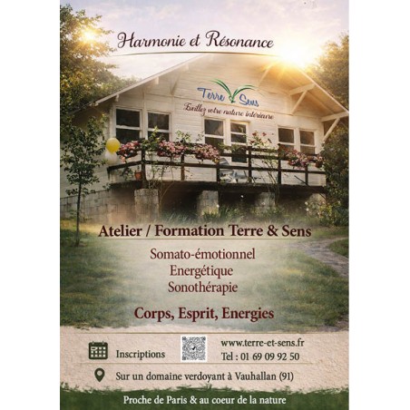 Formation Harmonie et Résonance Niveau 1 à la carte