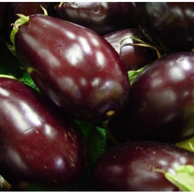 Aubergines légumes bio (~1kg)