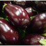 Aubergines légumes bio (~1kg)