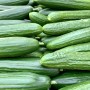 Concombre - fruits et légumes bio