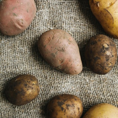 Patates douces - fruits et légumes bio