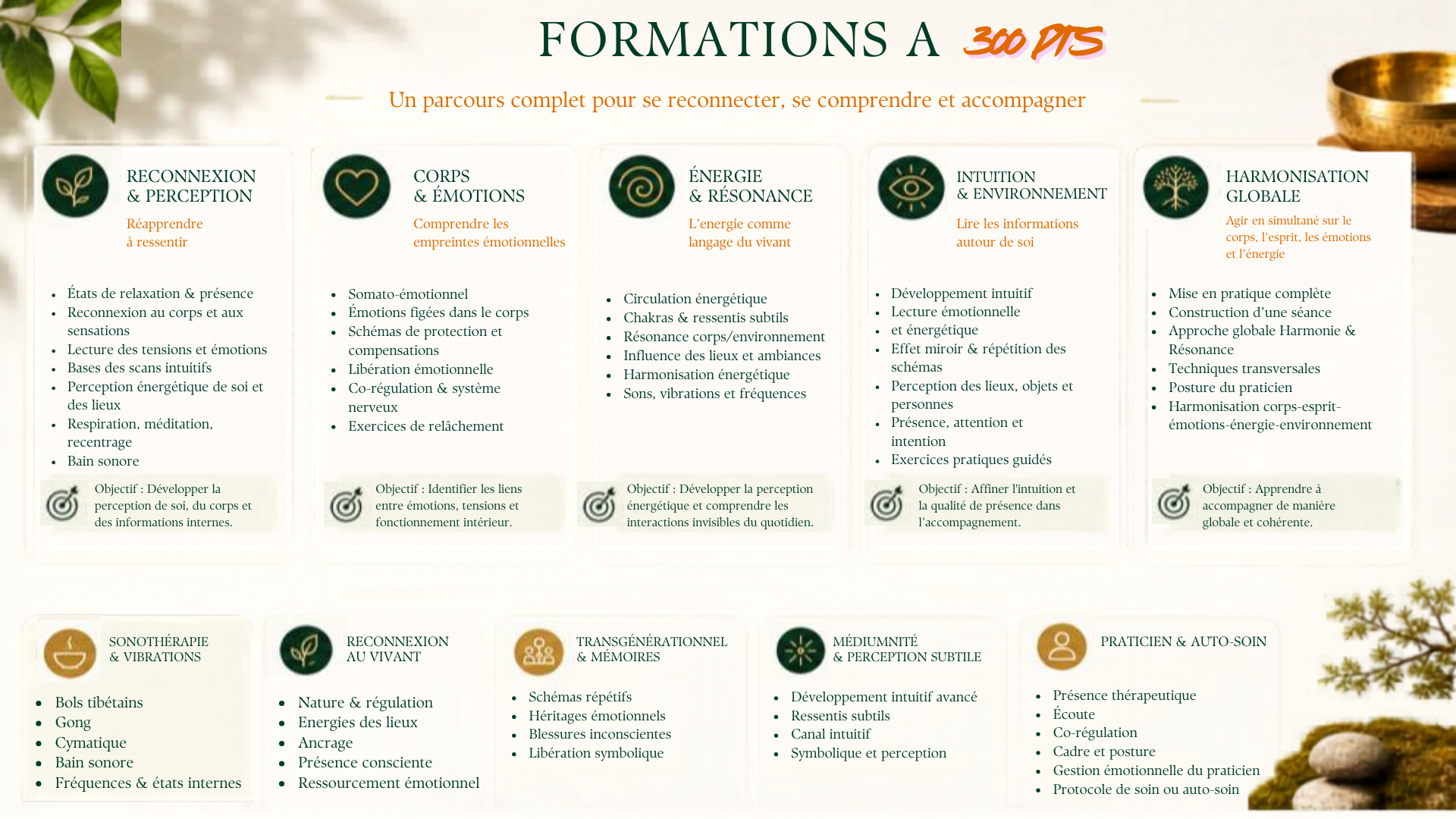 Formations à 300 points Terre et Sens
