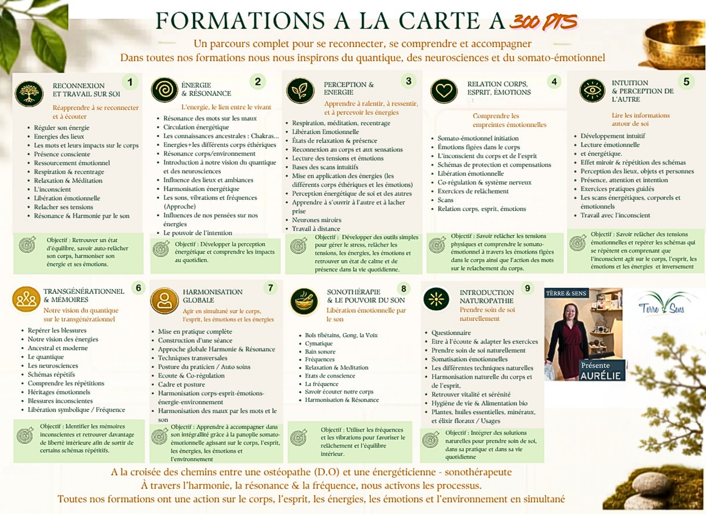 Formations à 300 points Terre et Sens