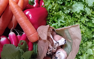 Plantes et compléments alimentaires en vrac pour prendre soin de soi
