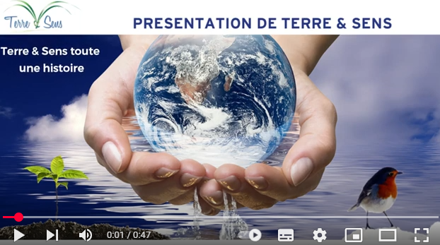 https://www.youtube.com/@Terre-et-Sens